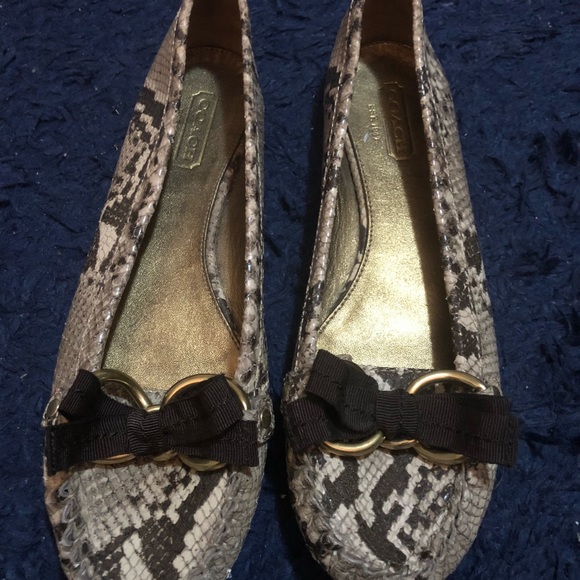 coach snakeskin flats